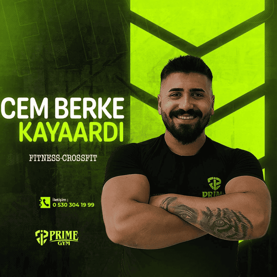 Cem B. Kayaardı
