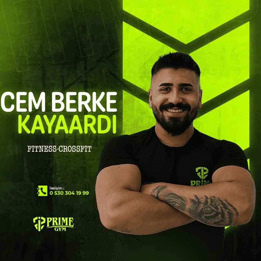 Cem B. Kayaardı